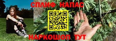 PSILOCYBIN Новодвинск